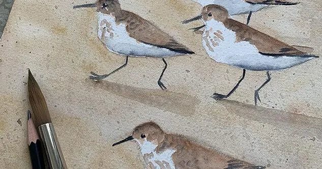 Nature Watch: Imagining A Better World