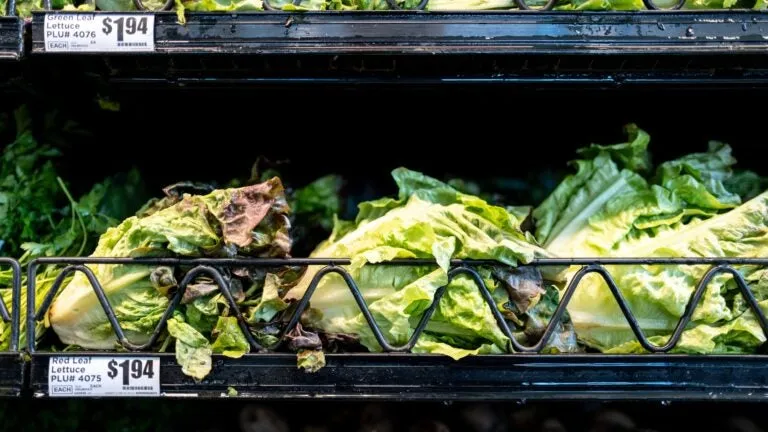 Cyclospora cases traced to hospital cafeteria in N.H.