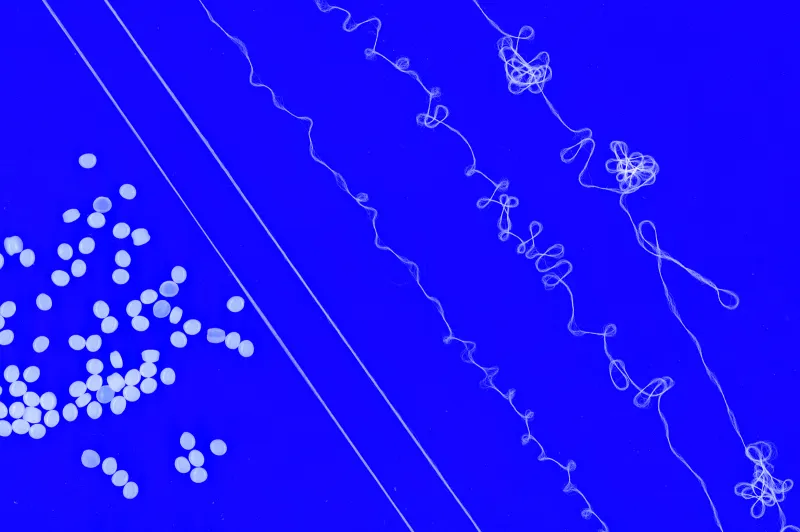 MIT engineers design recyclable elastic yarn