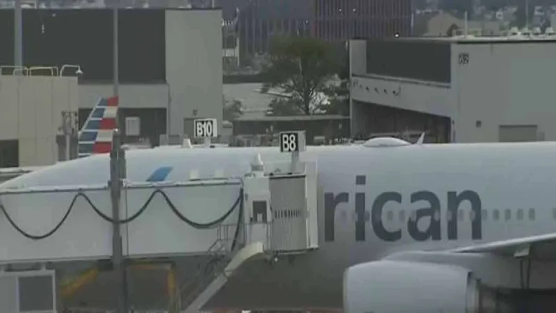 Flights resuming after American Airlines orders temporary ground stop over technology issue