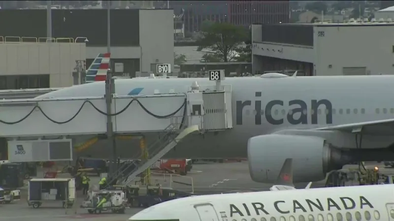 American Airlines back in the air after glitch grounds all its flights