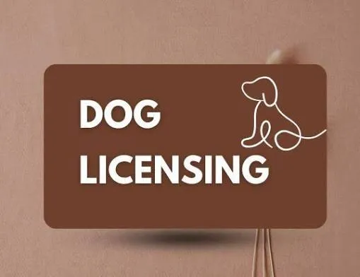 Councilor Flynn to Chair a Hearing On Animal Control Enforcement, Leash Law Compliance & Dog Licensing