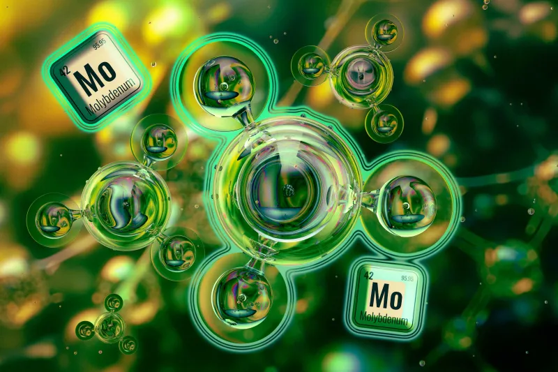 Why some nitrogen-processing enzymes are more efficient than others