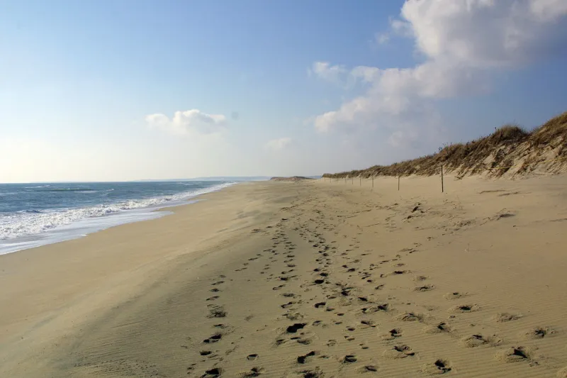 Swimmer in distress at Long Point