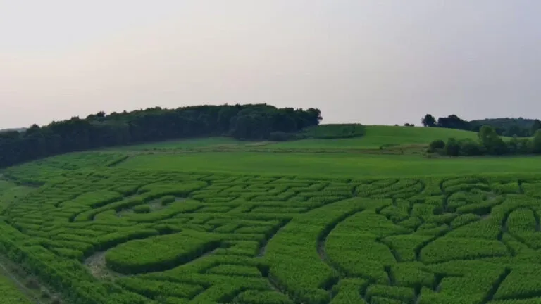 After jokes on GBH, state senator says agritourism like corn mazes are serious business