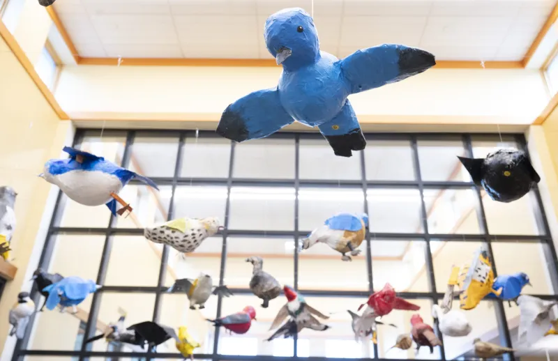 Art that really soars: Hopkins Academy student installation at Hadley Public Library is strictly for the birds