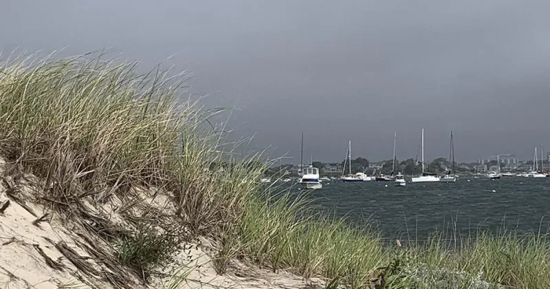 Nature Watch: To Try And Catch The Wind