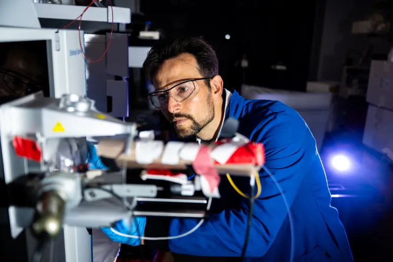 A new study suggests that our bodies produce more proteins than we thought