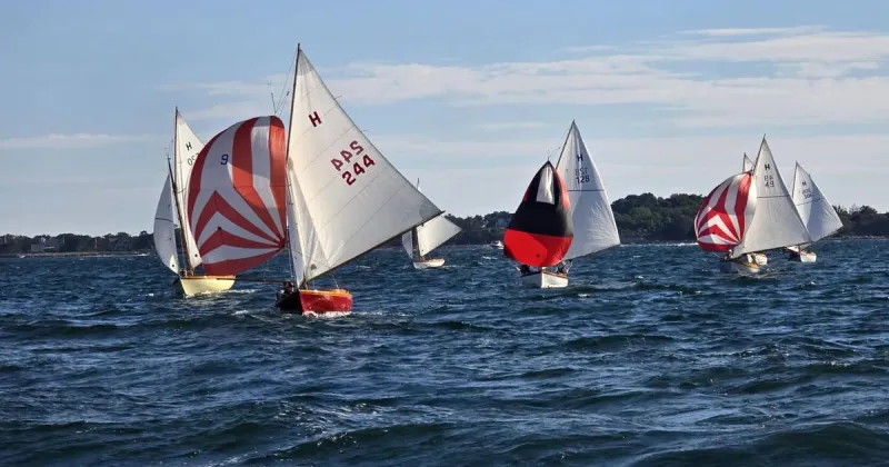 Quissett Yacht Club: Careful What You Ask For