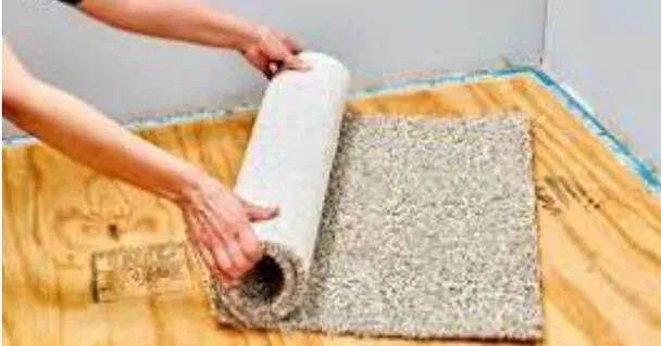 Recycling Tip: Carpet/Area Rugs?