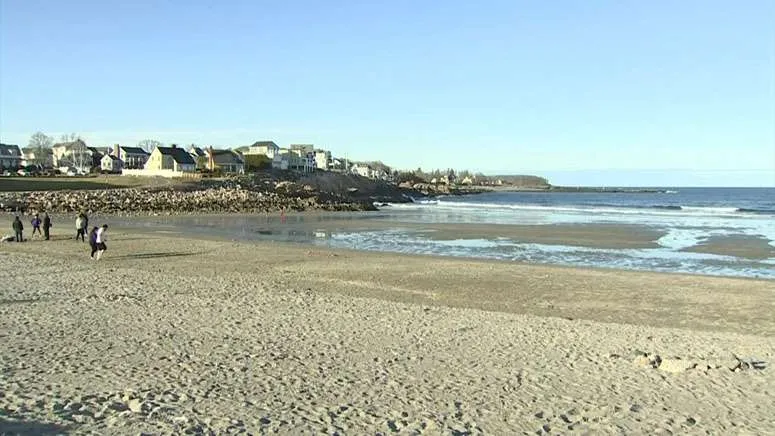 Living shorelines in Maine show mixed success