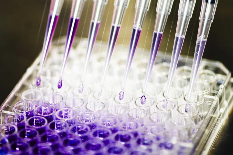 Northeastern students find AI isn't a cure all for drug discovery