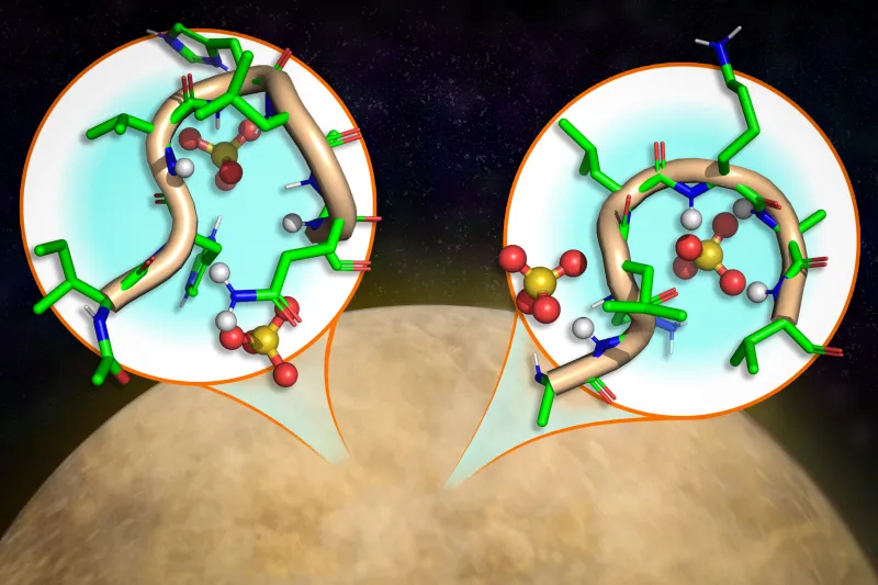 Study: Peptides can form well-defined structures in harsh, Venus-like conditions