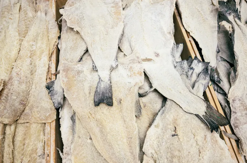 Once Upon a Codfish