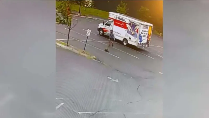 Wild animal attacks man in Lebanon, NH