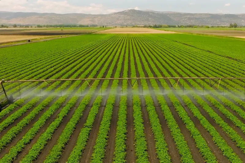 Giving farmers a more sustainable way to protect crops