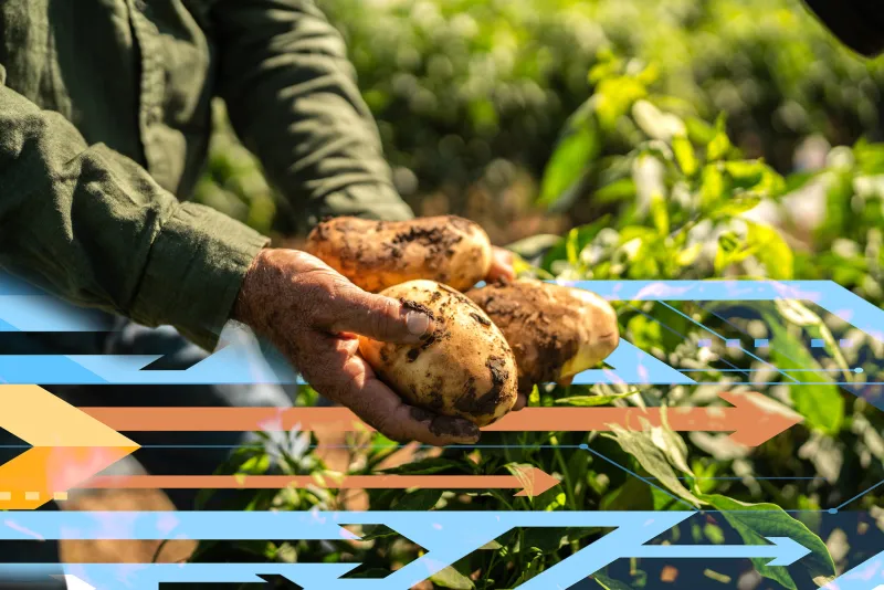 Study predicts large disparities in access to food, water, and energy in 2050