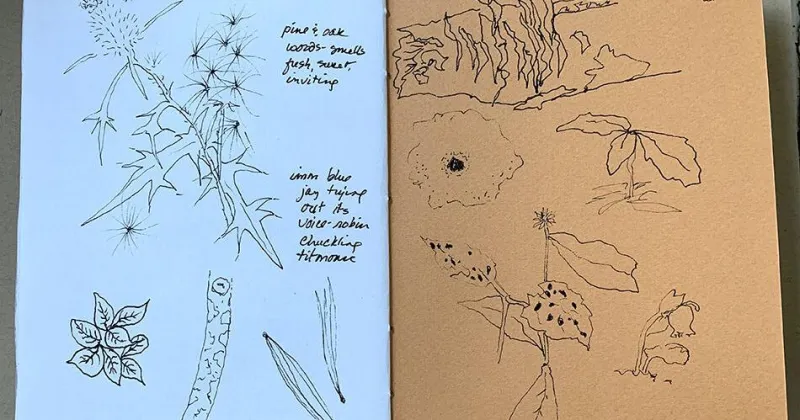 Nature Watch: Slowing Down In A Fast And Crazy World