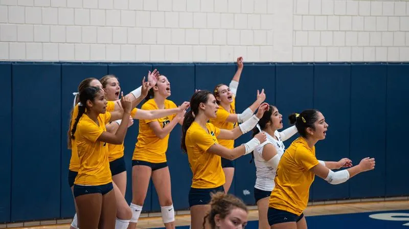 Bears sweep day one at Rochester Invitational to move to 6-0