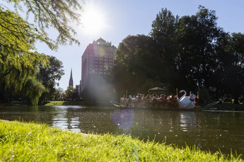 'HAGS': Boston college students reflected on a 'great summer' in the city