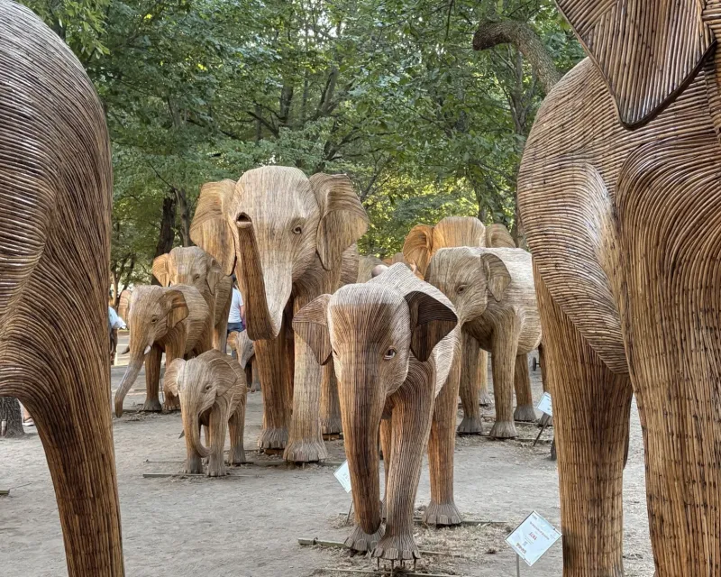 The Great Elephant Migration stomps out of Boston's Back Bay