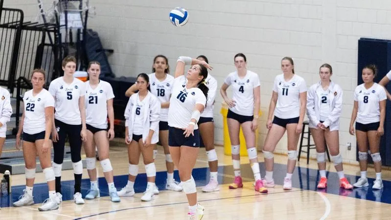 Bears stay unbeaten with four-set win over Endicott