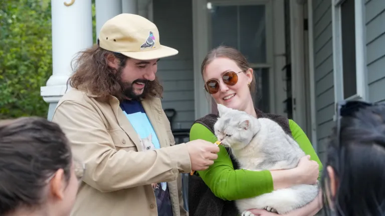 Hundreds turn out for Lower Allston's first Cat Stroll