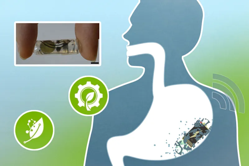 Batteries that safely break down in the GI tract could improve ingestible devices