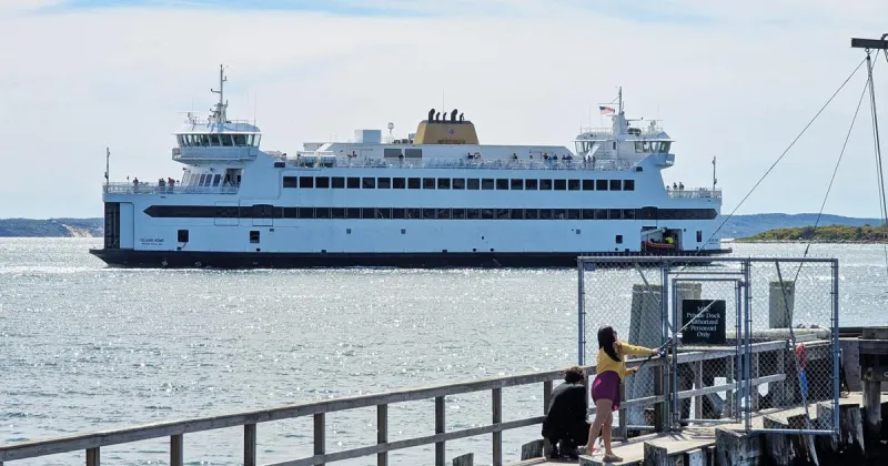 Steamship Employee Terminated For Missed Inspections; Gates Lost Overboard