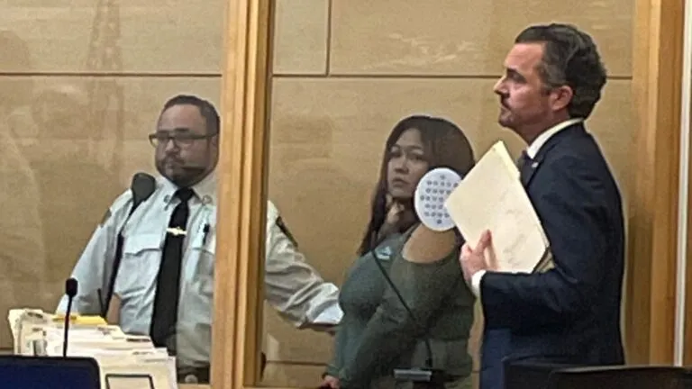 Chelsea woman pleads guilty in death of 3-year-old son she had left with siblings
