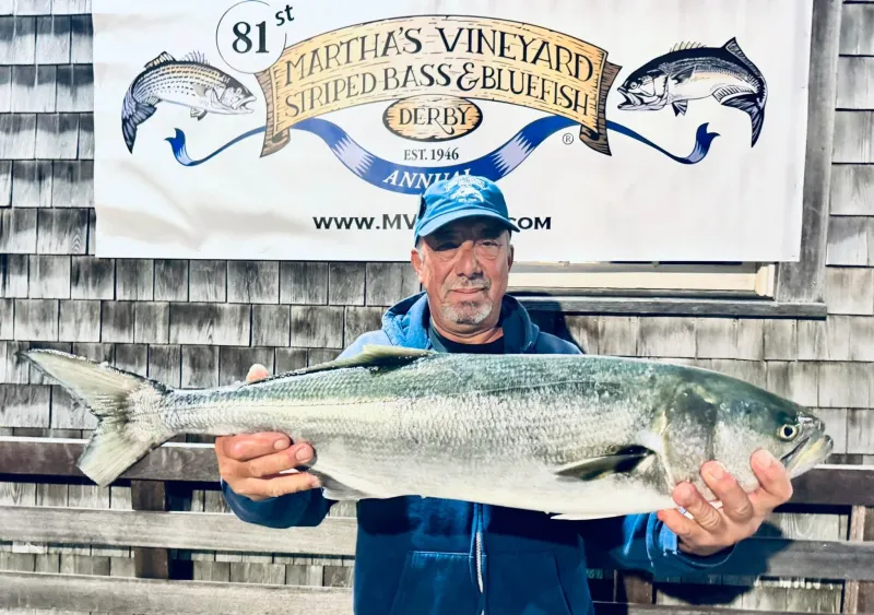 Week 2: New leader fish ahead of the storm