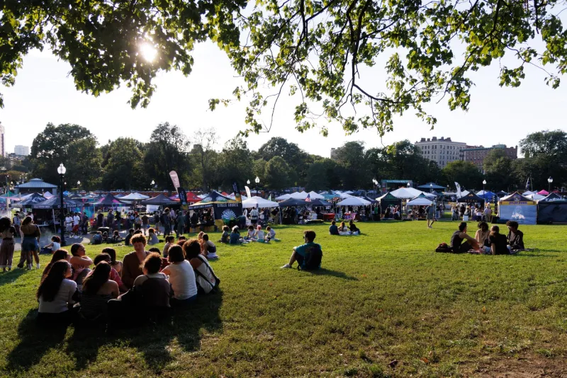 'This isn't a taboo thing anymore': Boston Freedom Rally advocates to protect recreational weed