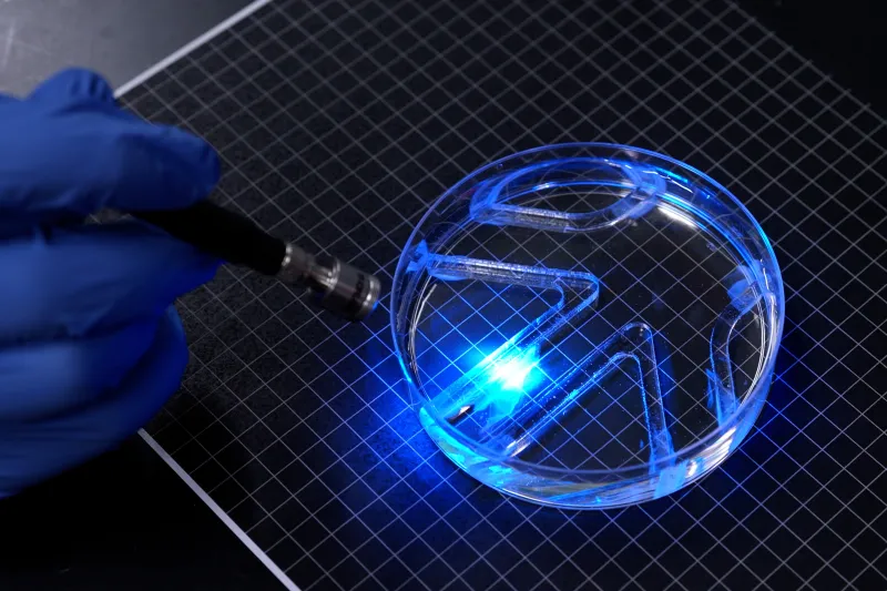 Powered by muscle cells, a paper-thin robot swims through watery maze