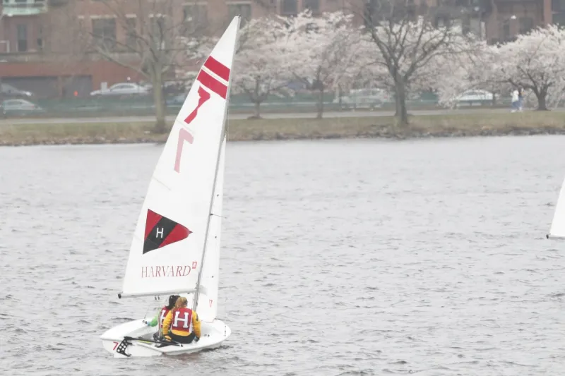 Weather Disrupts Harvard Sailing's Third Weekend of Competition