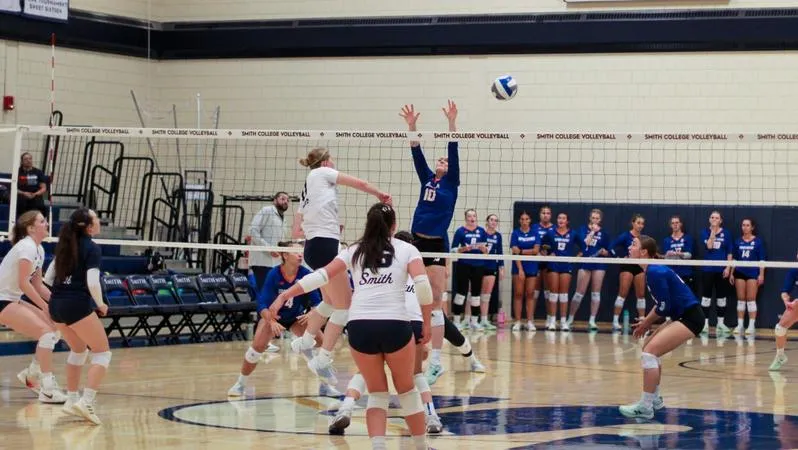 Bears outlast Springfield in four to stay unbeaten in NEWMAC