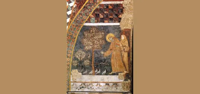 The work of St. Francis in the vineyard