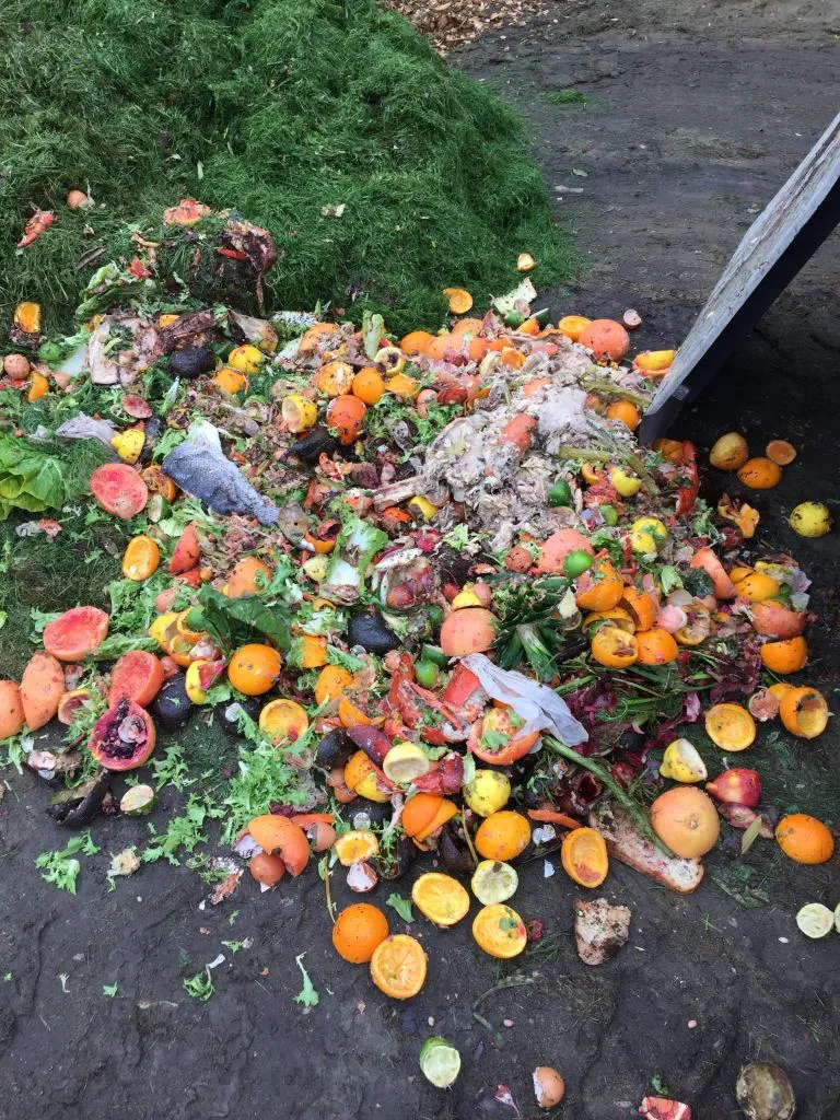 A third of our food is never eaten. On the Vineyard, we can change that.
