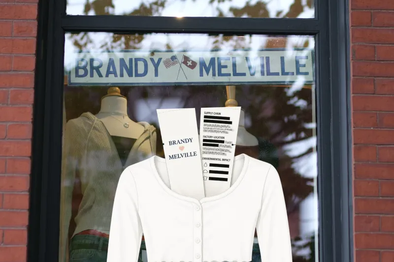'100% cotton' isn't the green light Brandy Melville wants you to think it is