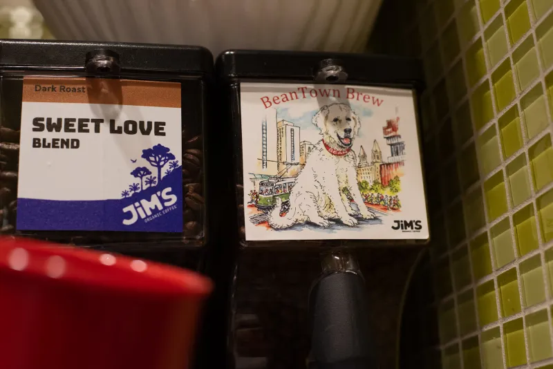 BU Sustainability introduces Beantown Brew to dining halls
