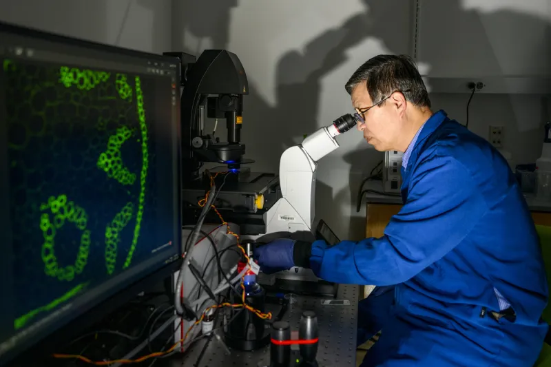 Who knew? cells have memory, professor describes in paper