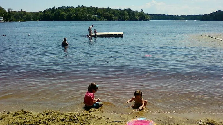 Good Samaritan rescues elderly couple after car goes into lake in Hamilton