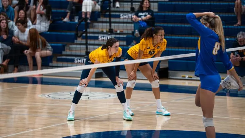 Bears sweep Wheaton, Westfield State