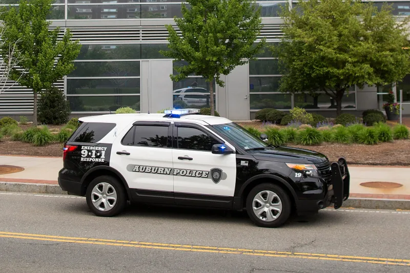 Auburn police asking for public's help finding hit-and-run driver who killed dog