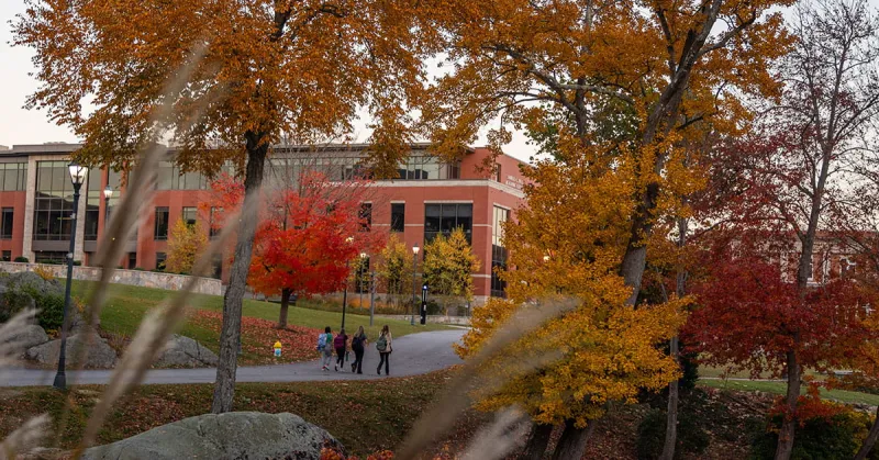 Endicott College Named a 2027 College Raptor 'Hidden Gem'