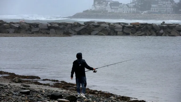 Mass. Ballot Question 6: What voters need to know about the 'Natural Resource Conservation Fund'