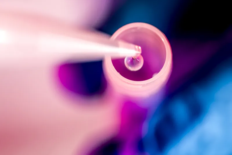 PFAS may raise blood pressure during pregnancy. Who is at risk?