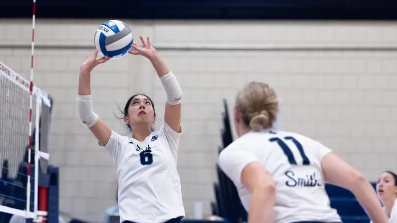 Chapin, Feuer power Bears past WPI