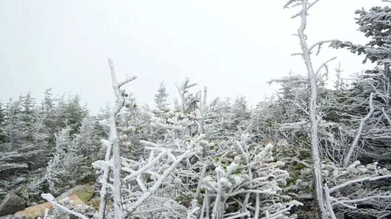 The snowplows were out on Mount Washington this week