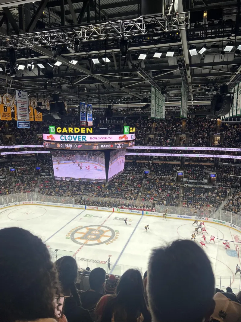 Bruins name 28th franchise captain, roster additions show early promise