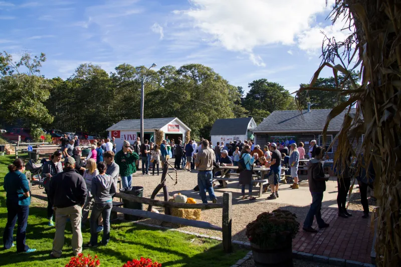 Wild food festival
